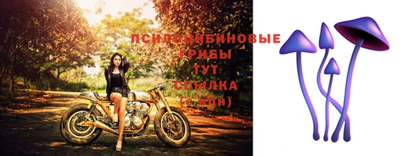 спайс Абаза