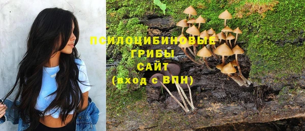 марки nbome Алзамай