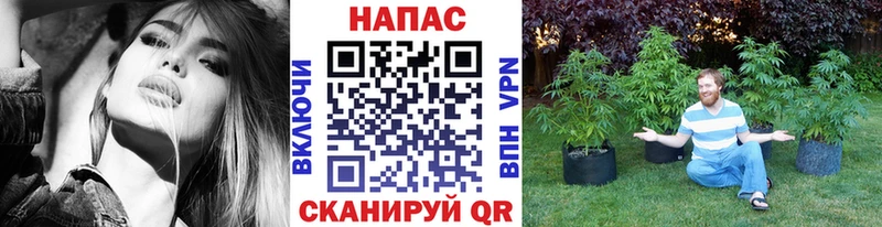 мориарти Telegram  что такое наркотик  Брюховецкая  Конопля индика 